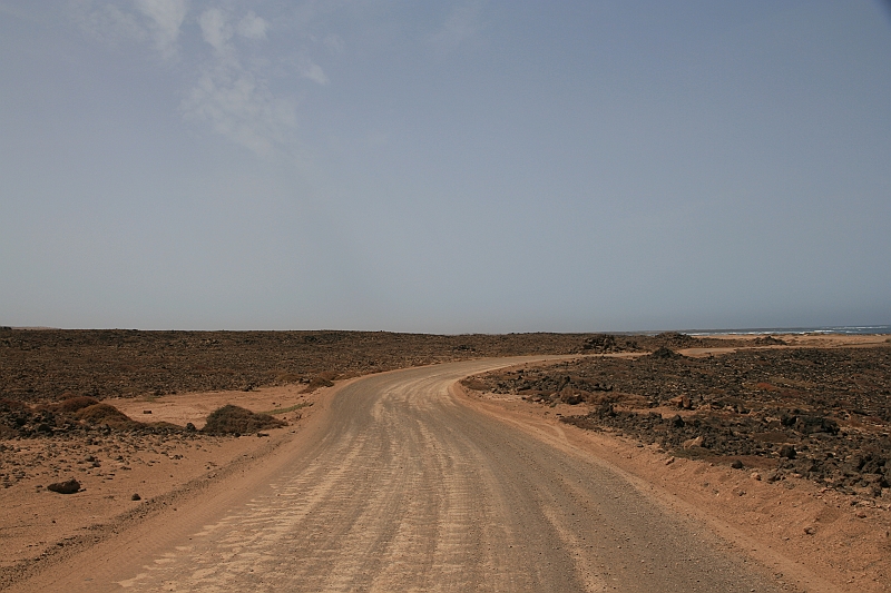 Kanary_2010 113